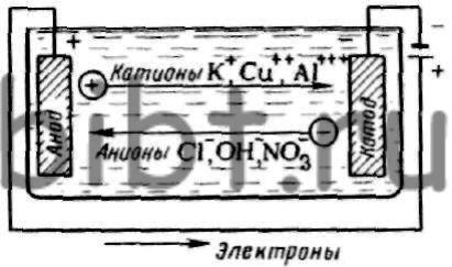 Схема движения электрических зарядов при электролизе